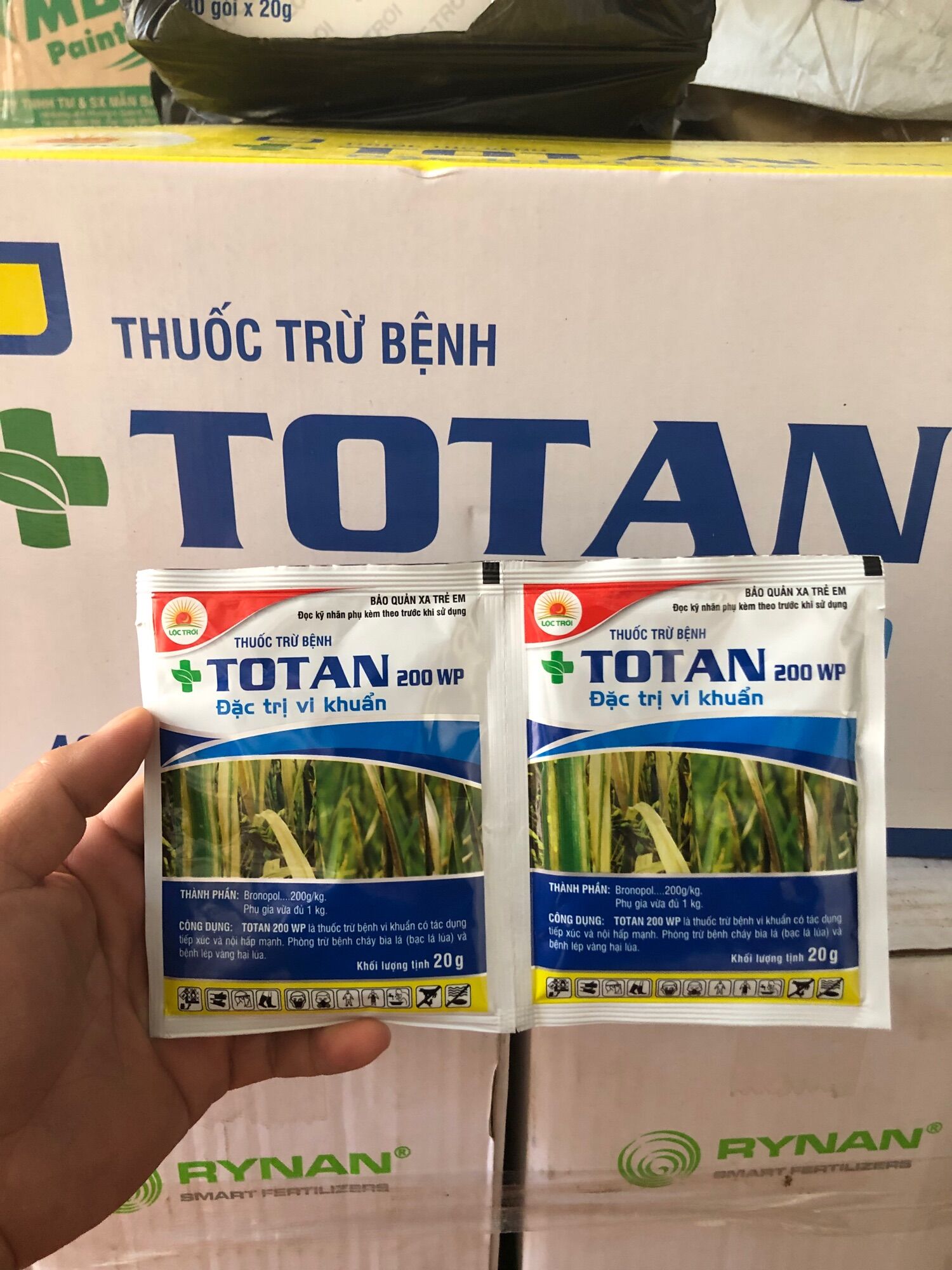 Vi khuẩn cháy lá trên lúa Totan lộc trời