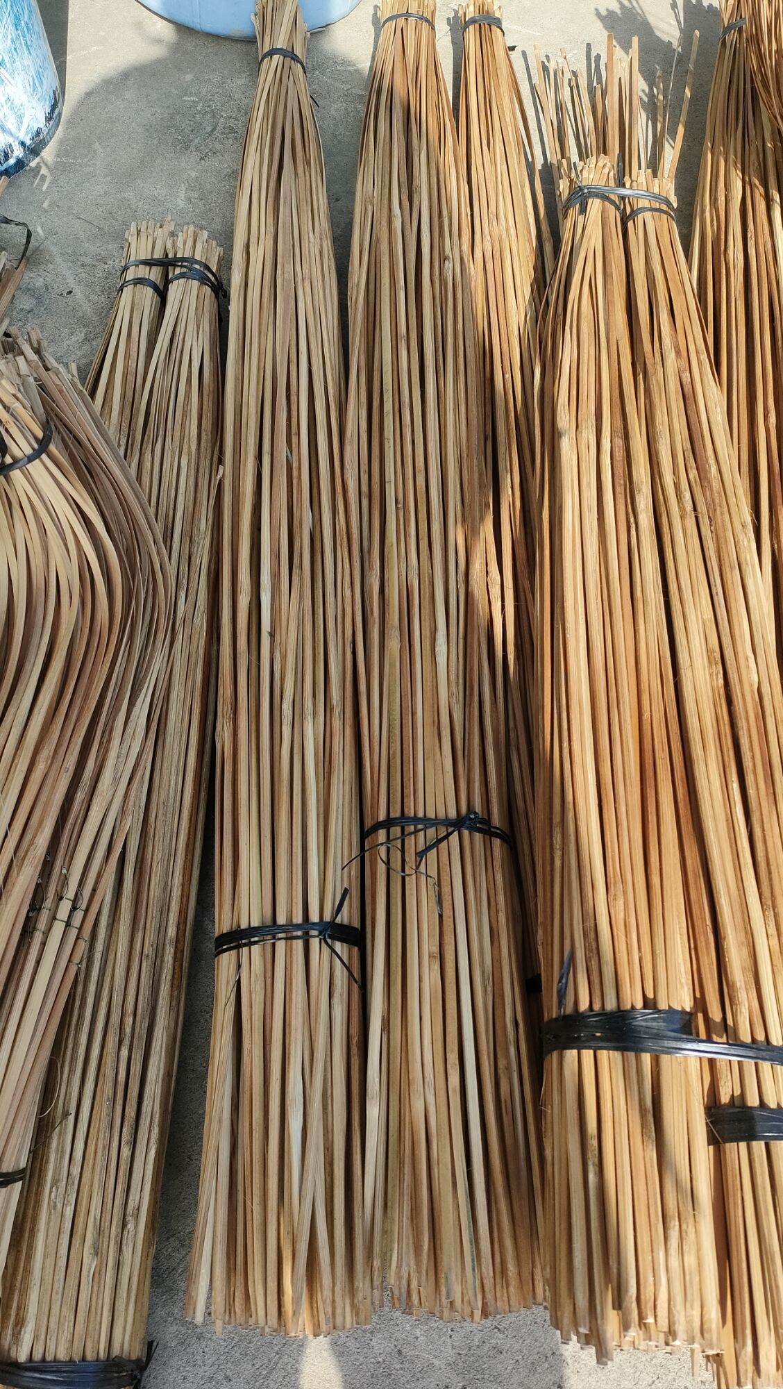 20 cần câu cắm cá chưa tóm lưỡi