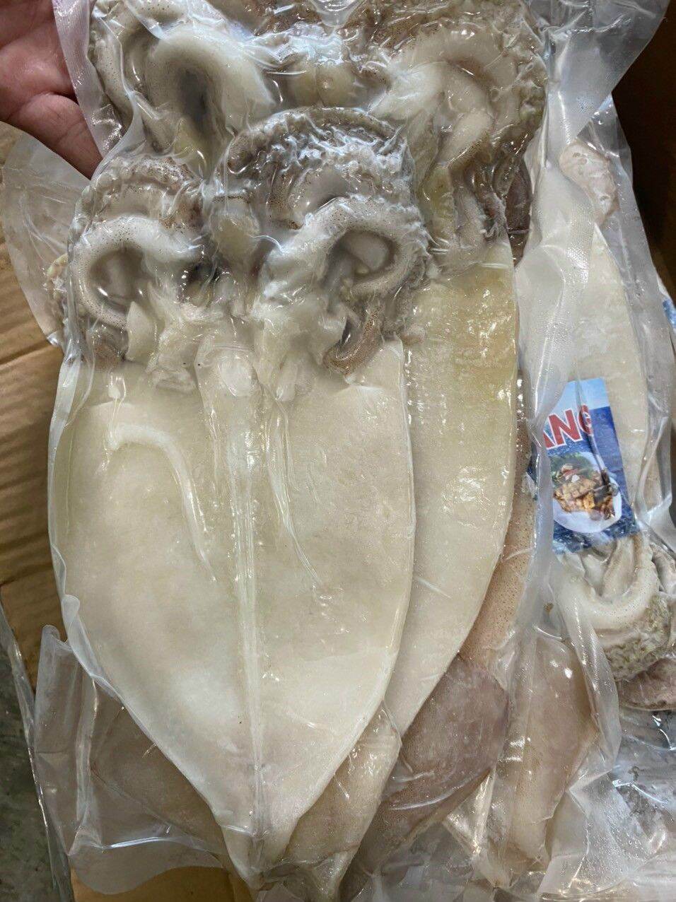 1 ký mực 1 nắng cô tô
