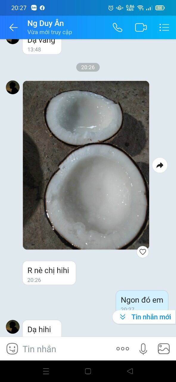 Dừa sáp dạng lỏng , cơm dẻo 1 trái hơn 1kg