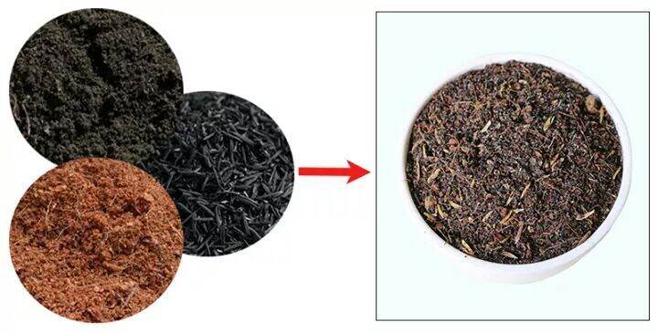 Hỗn hợp trồng cây: xơ dừa, tro trấu, phân oai mục dinh dưỡng cho cây
