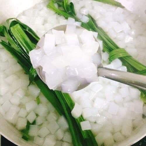 Thailand Coconut Jelly