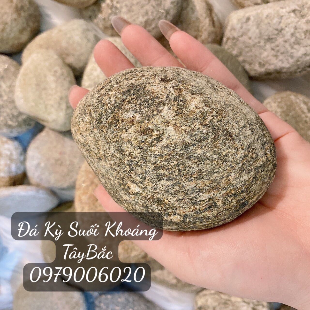 Đá nhám tắm kỳ ghét, tẩy da chết (100% tự nhiên)