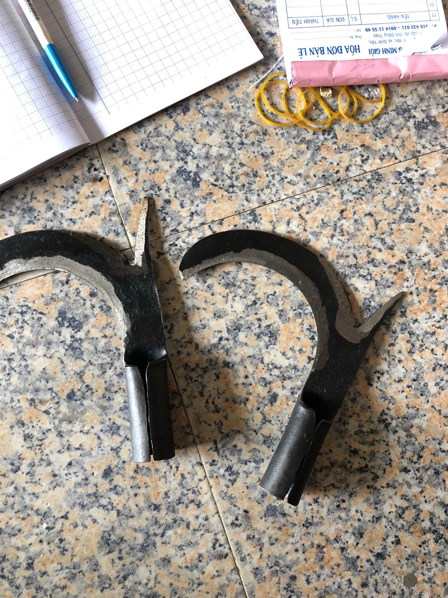 Cu Liêm đực dừa