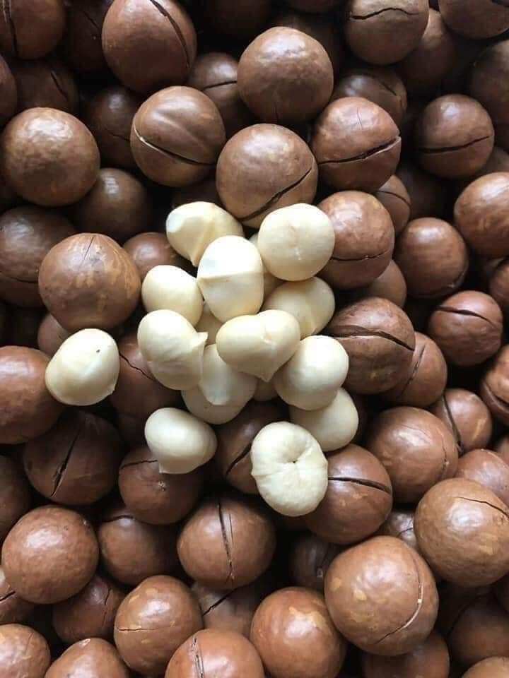 Hạt mác ca.500gr