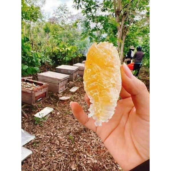 Mật Ong nguyên sáp hủ 1kg