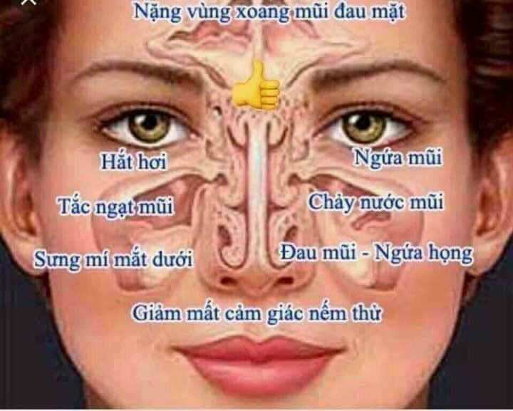 Ống hít thông mũi thảo dược Thái Lan cao cấp cực thơm
