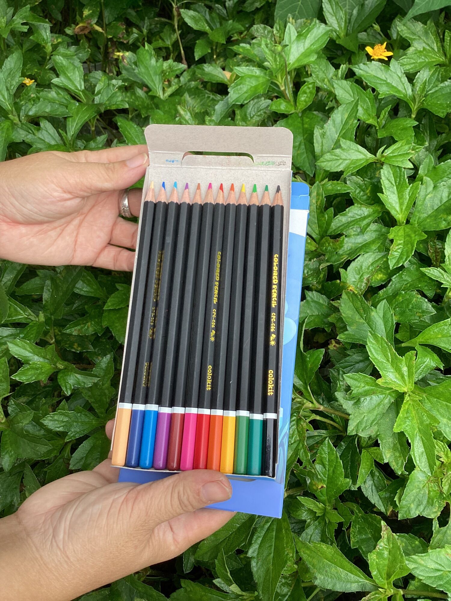 BÚT CHÌ MÀU GỖ Colokit 12 MÀU CPC-C06