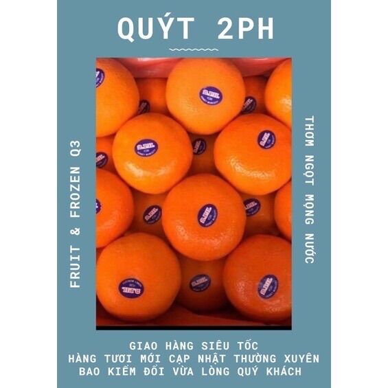 Quýt ai cập 1kg (chỉ giao 2h hcm-trái cây nhập khẩu q3)