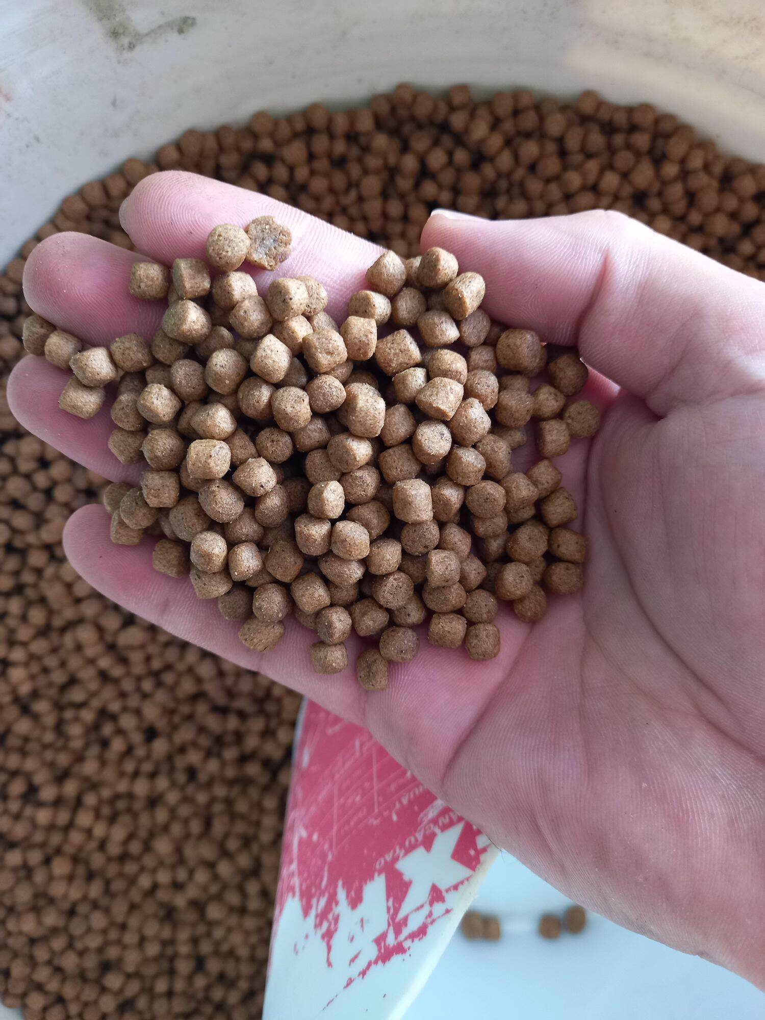 THỨC ĂN CÁ KOI, CÁ 3 ĐUÔI, CÁ CẢNH KHÁC( cá 6ly 30% đạm) 500gam/ góih