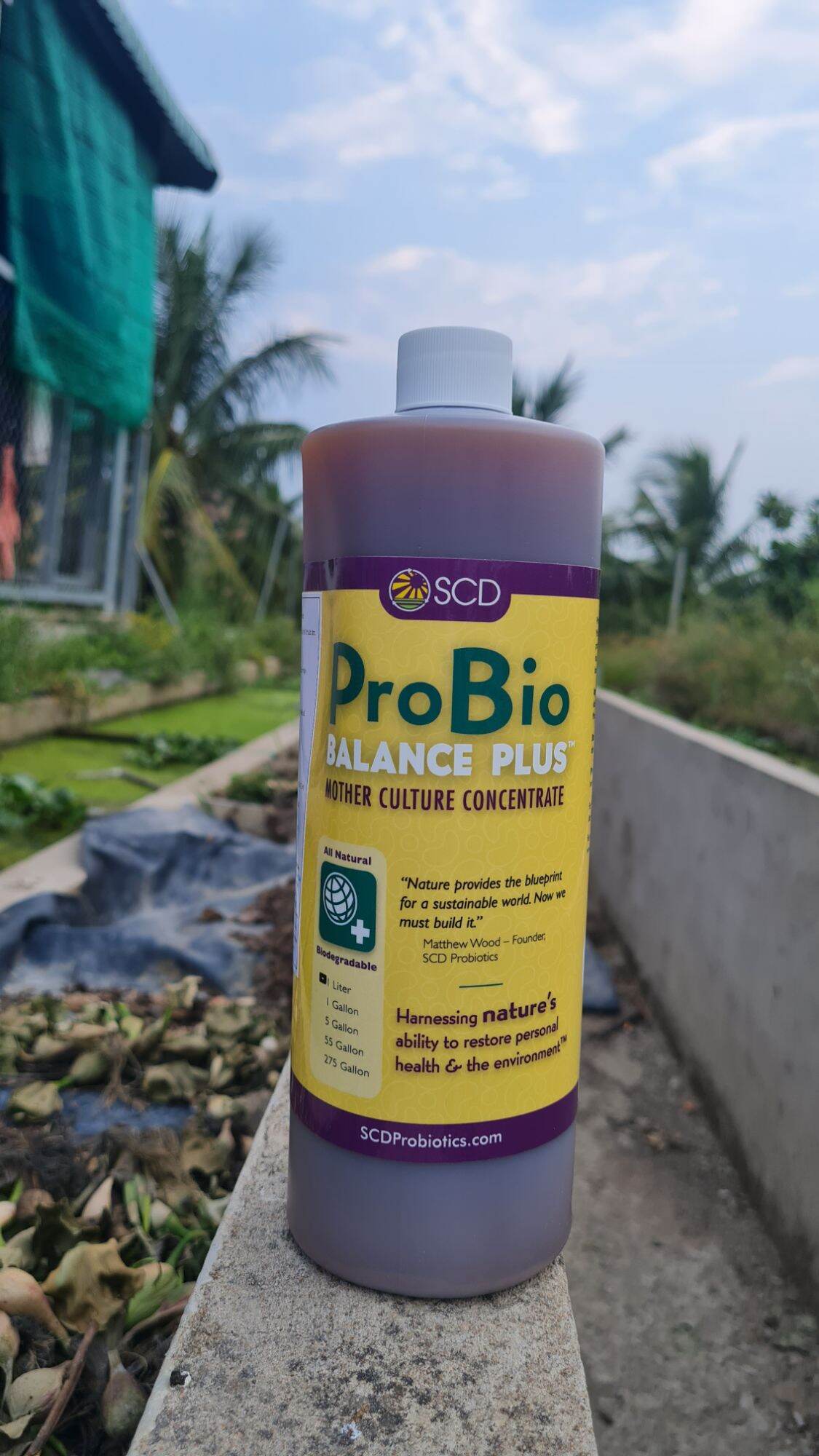 Vi sinh xử lý nước ProBio Balance Plus