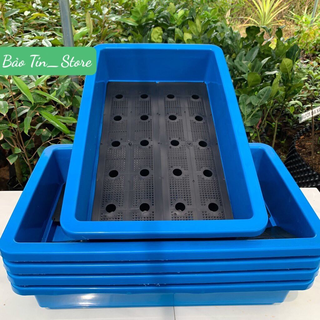 Khay trồng rau thông minh - chậu trồng rau tự tưới khích thước 67x42x16cm