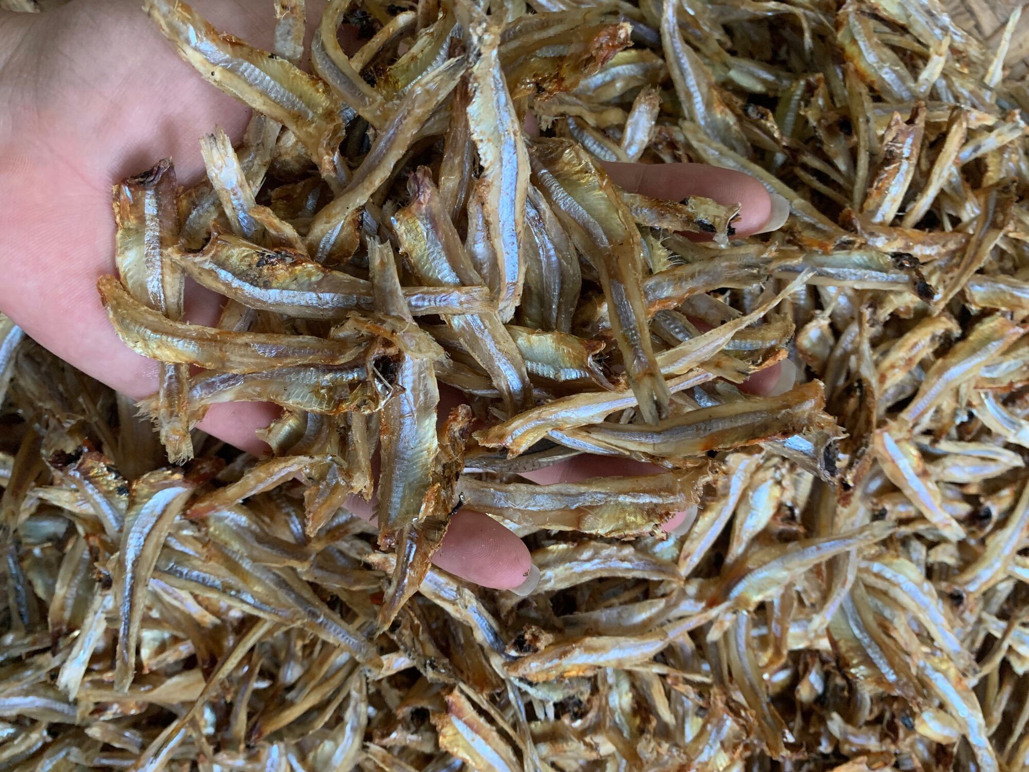 500g cá cơm khô biển hậu lộc - thanh hoá