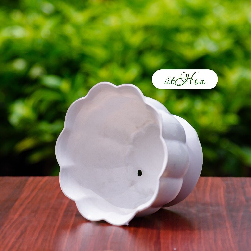 Chậu Để Bàn Trái Bí Trắng