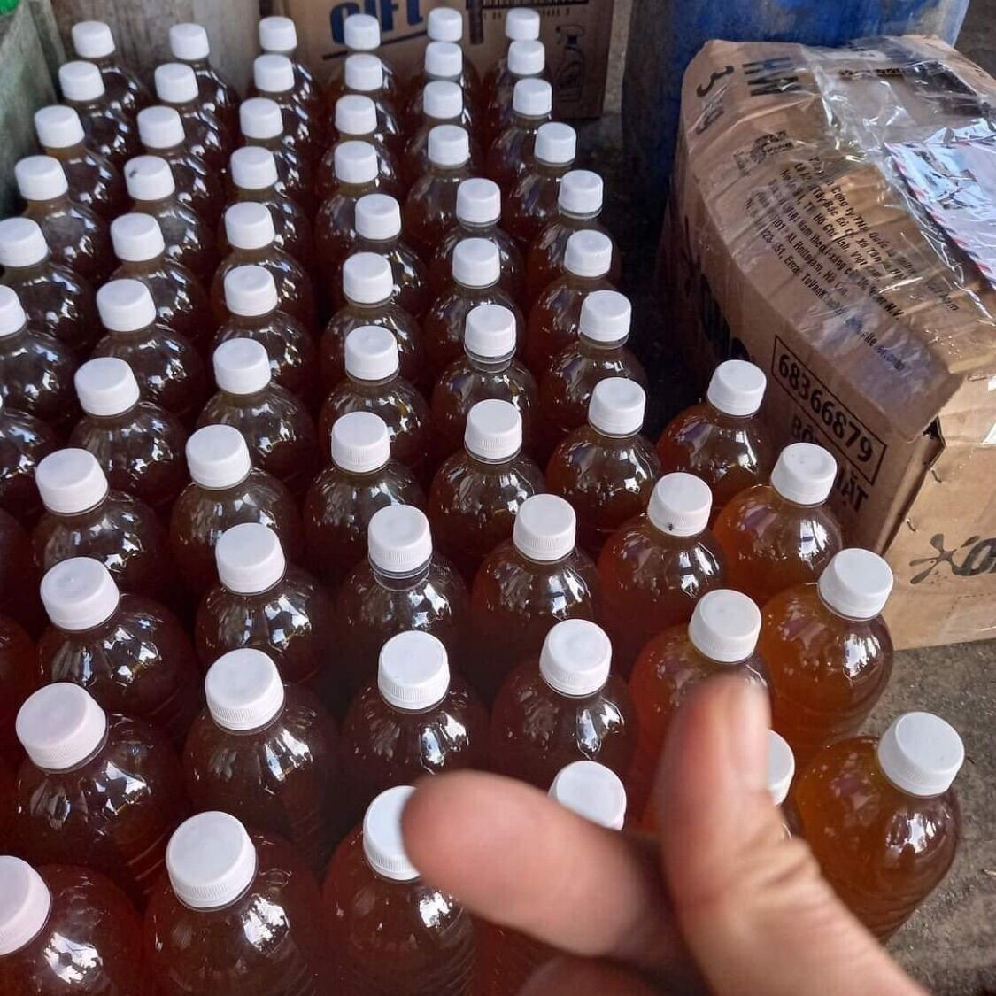 Mật ong hoa cà phê