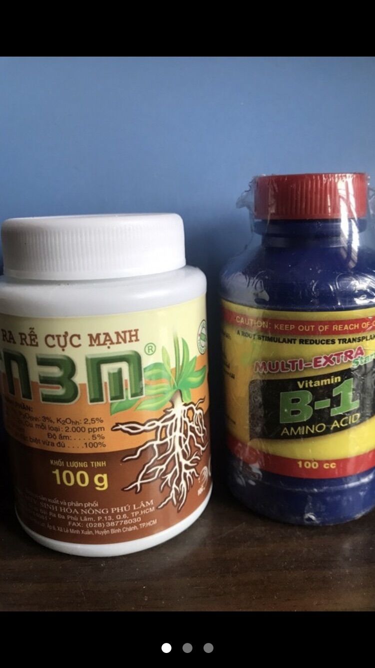 Bộ đôi kích rễ n3m 100g và vitamin b1 100ml cho lan
