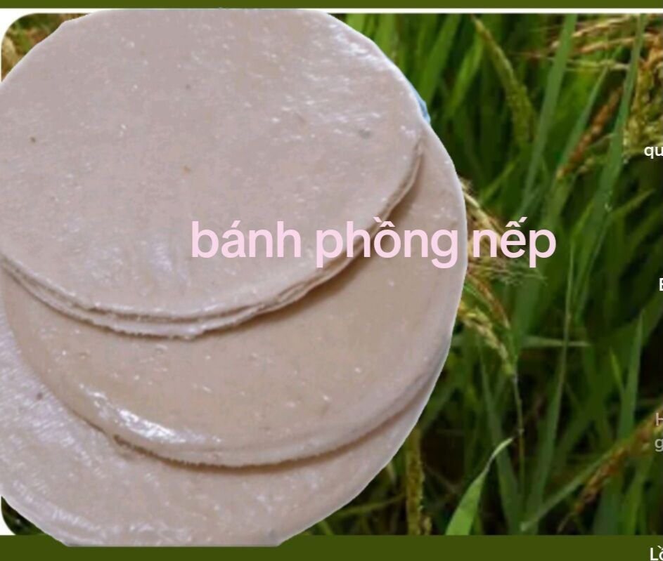 10 miếng bánh phồng nếp nước cốt dừa, , loại lớn đặc biệt, đặc sản Bến Tre, bánh kẹo Tết