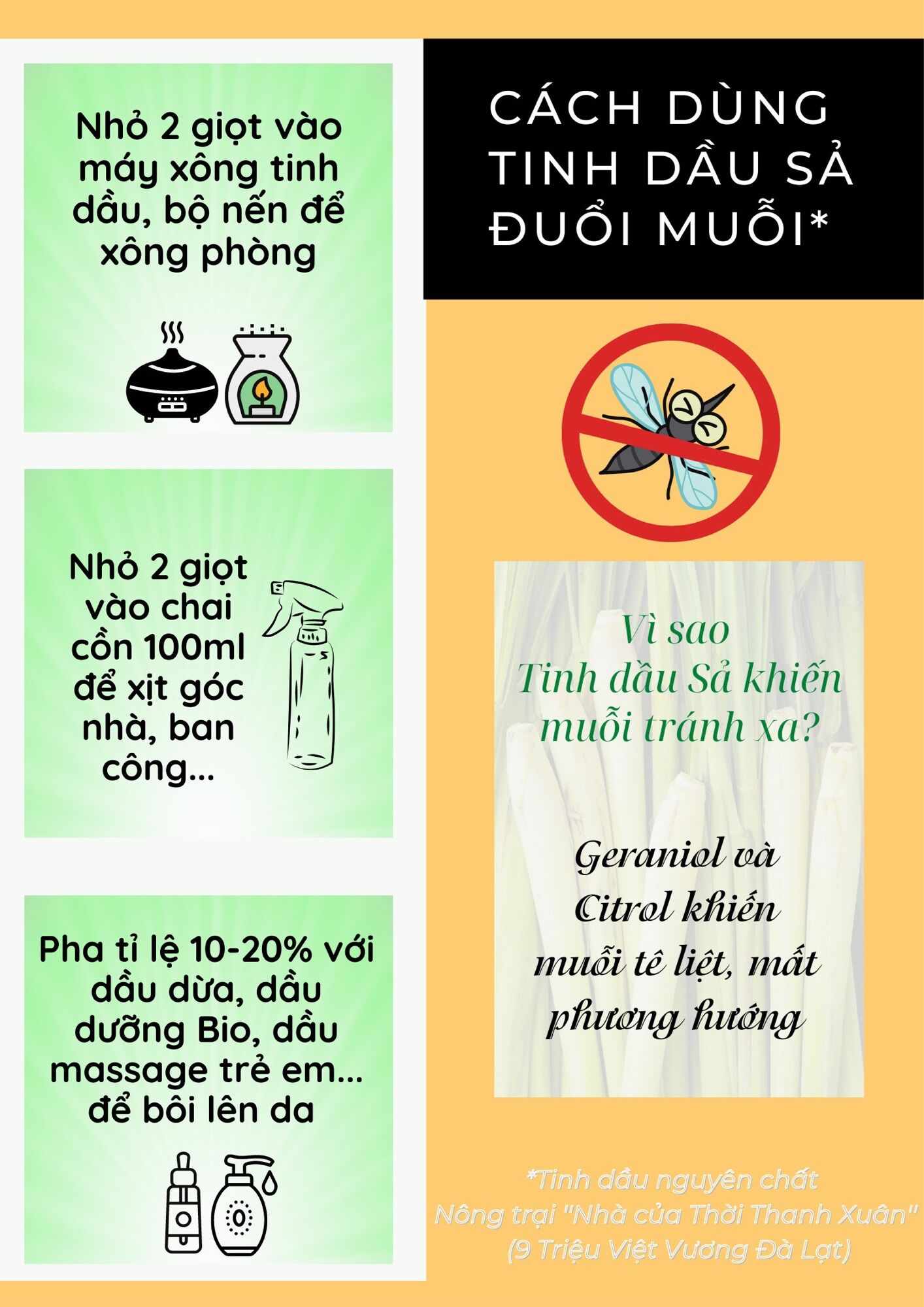 Tinh dầu Sả Java nguyên chất ''Nhà của Thời thanh xuân''