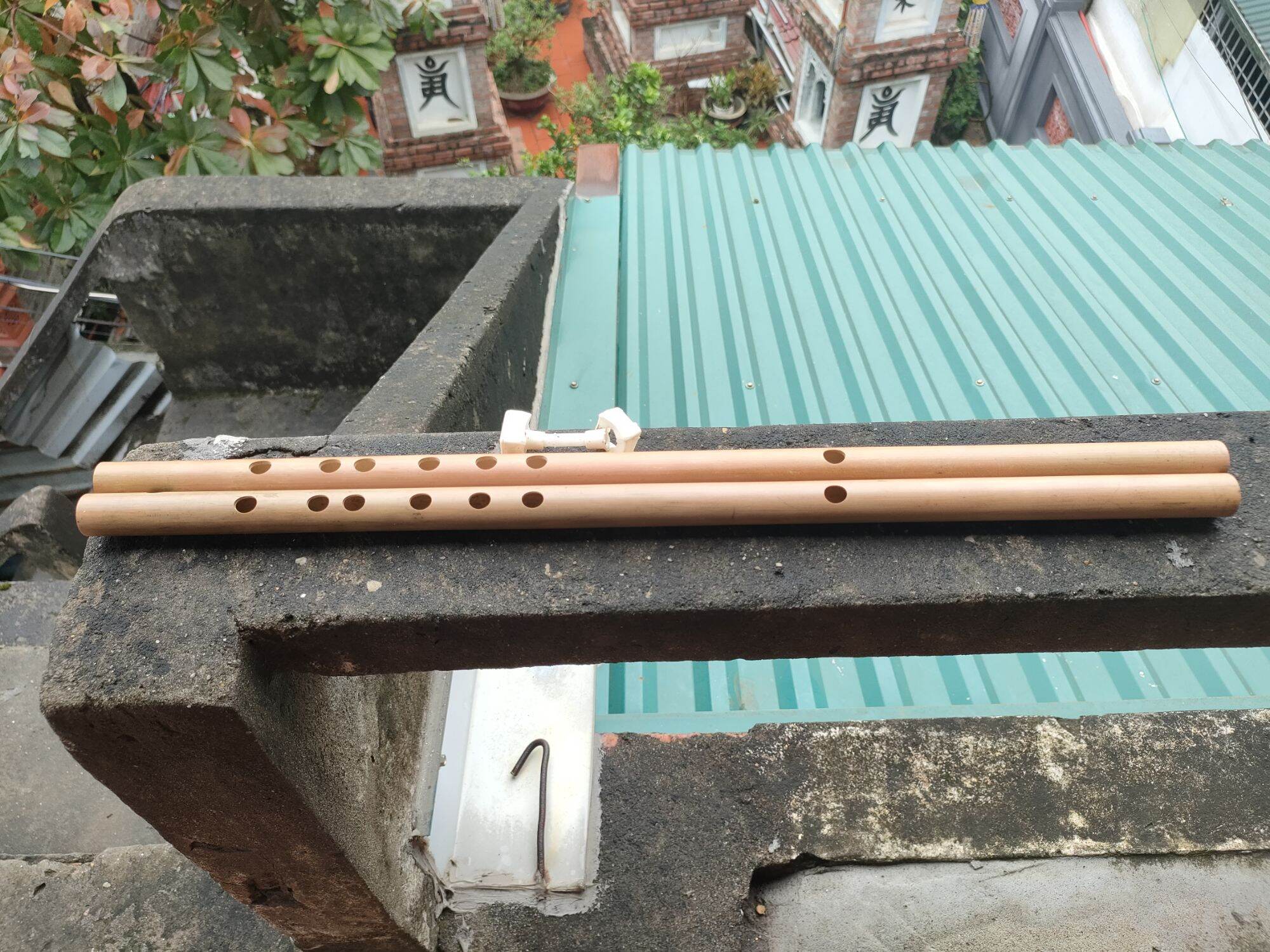 Sáo Trúc Đô C5 Nứa Bắc Chuẩn âm