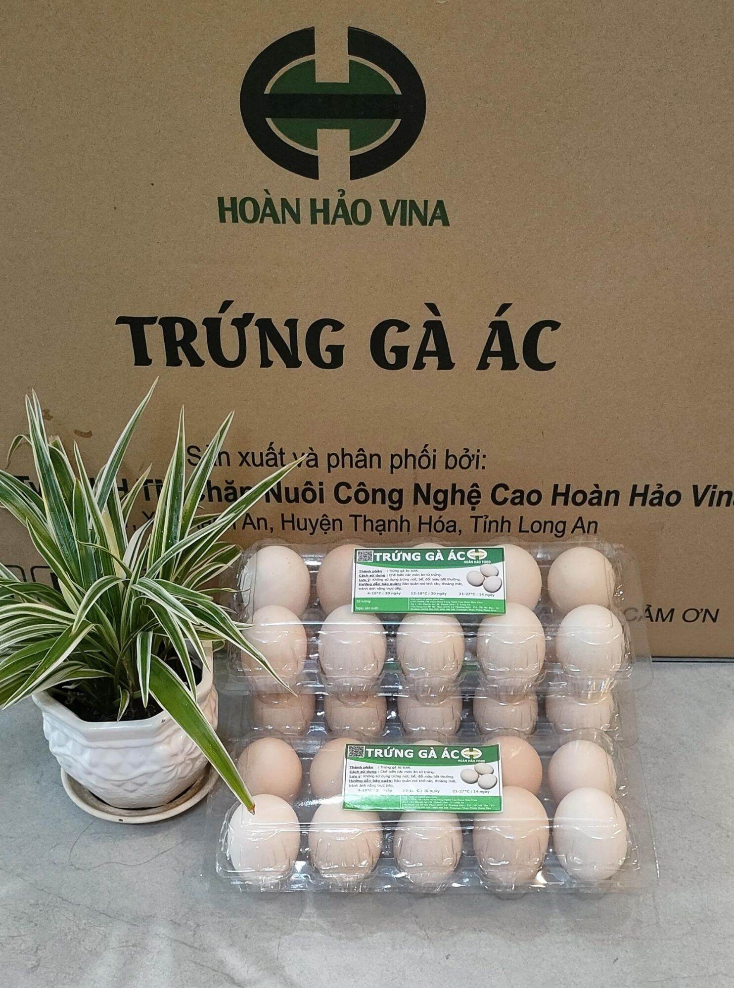 Trứng gà ác (Gà Ri) 2 lòng đỏ Hoàn Hảo (Set 10 trứng)