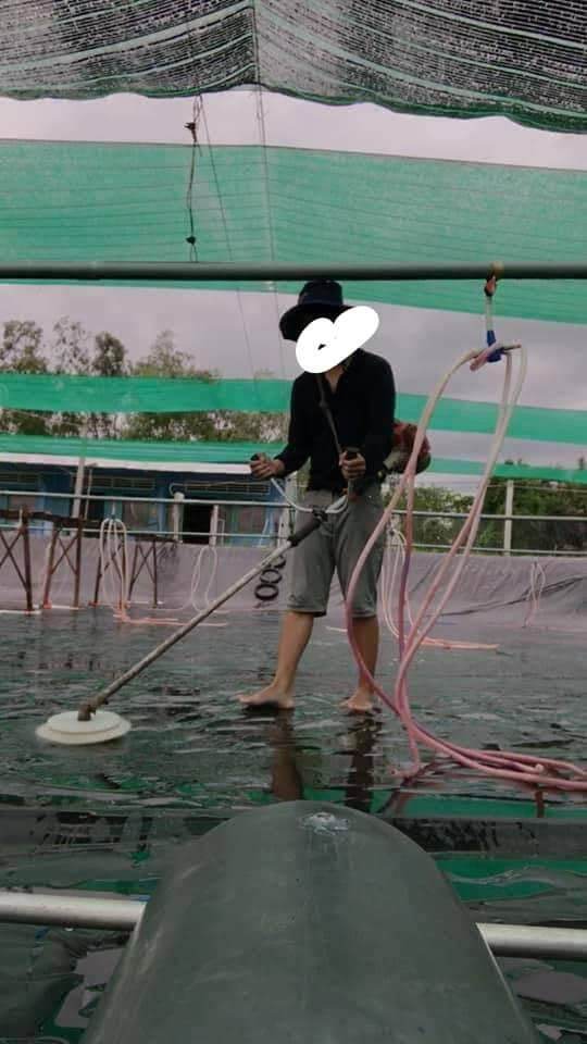 Cước chà bạc ao tôm lắp máy cắt cỏ