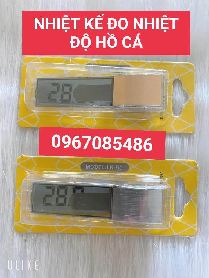 Nhiệt Kế Đo Nhiệt Độ Hồ Cá