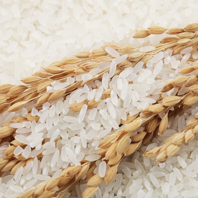 Hạt giống lúa Tám thái đỏ Bảo Minh túi 1kg