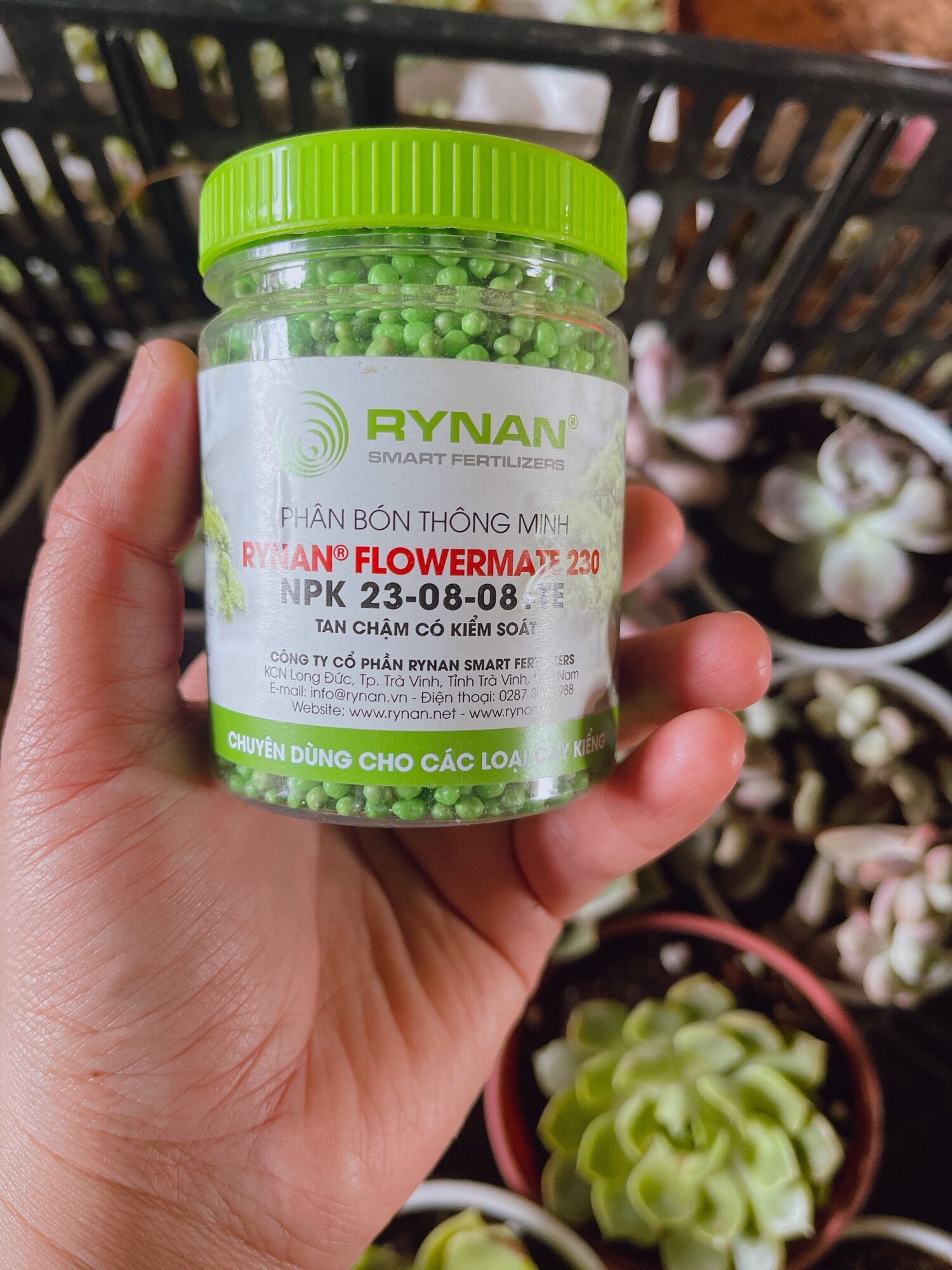 Phân tan chậm dành cho cây con