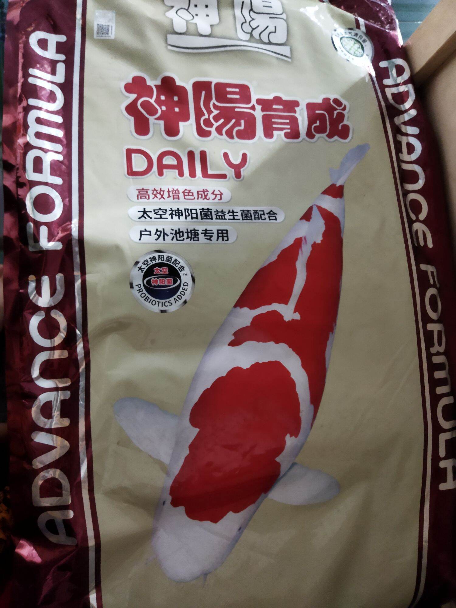 Cám cá Koi Daily