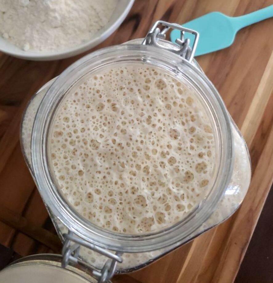 Combo 1 thìa sừng trâu tự nhiên và 200g men giống sourdough tặng kèm 5 công thức pha chế đồ uống