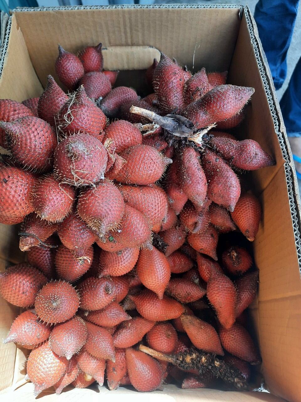 Trái Mây Thái - 1kg