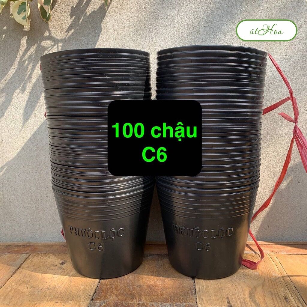 100 chậu nhựa đen C6 trồng cây kiểng, ươm cây con, trồng hoa (dày)