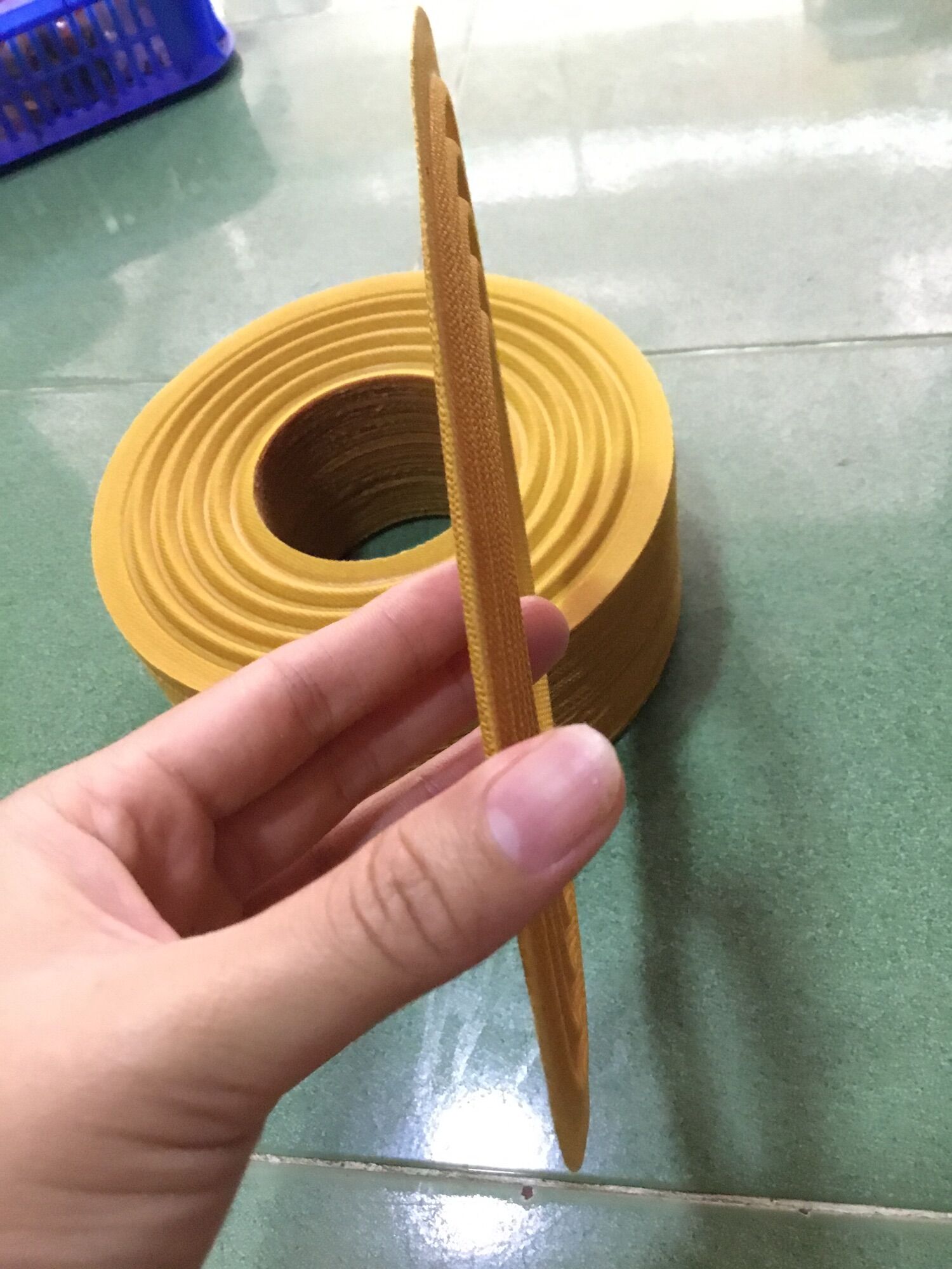 1- NHỆN LOA VÀNG 23CM LỖ COIL 100 BẰNG