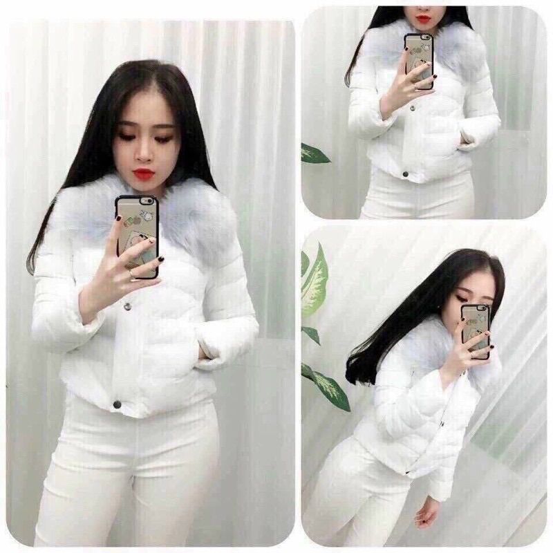 Áo phao ngắn cổ lông - cổ lông tháo rời được