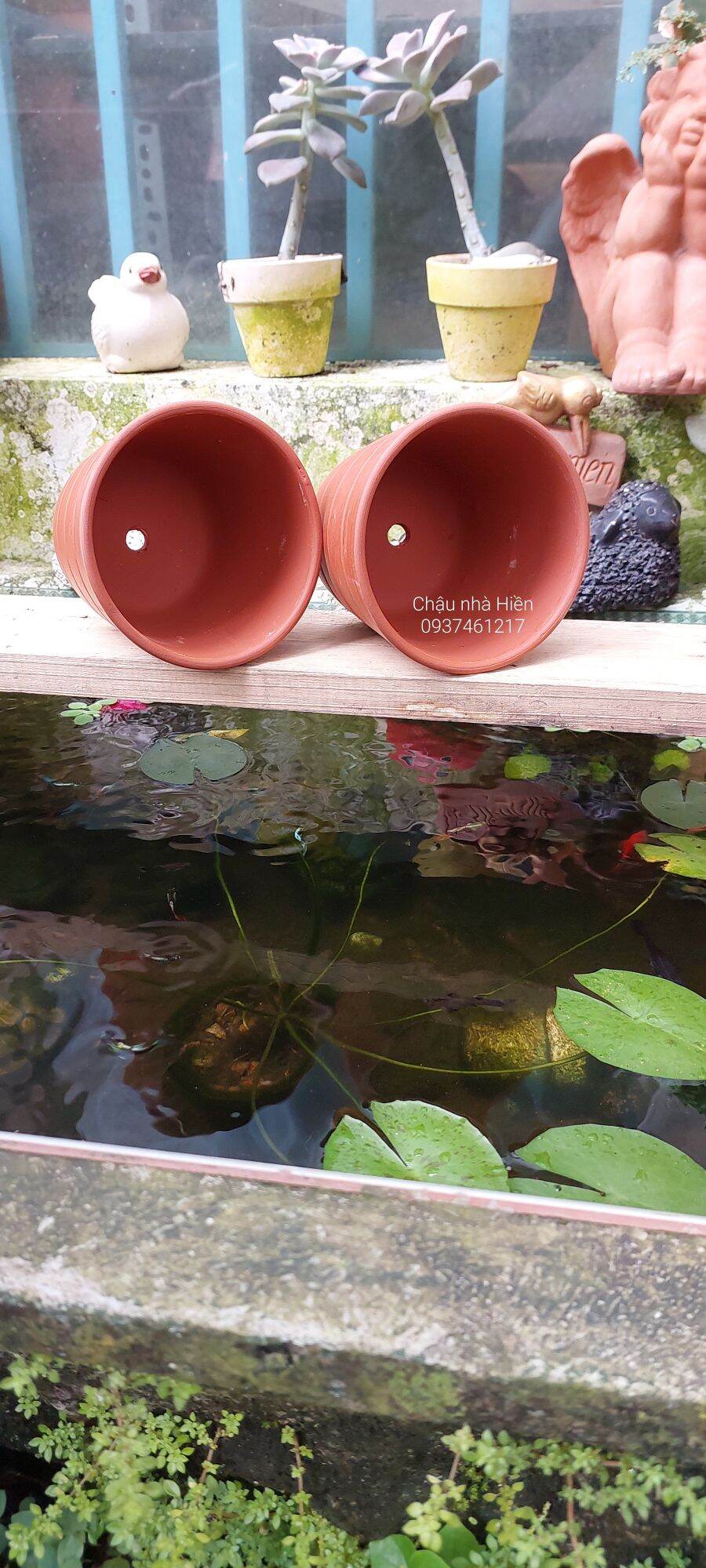 Chậu đất nung Bình Dương ly sọc ngang