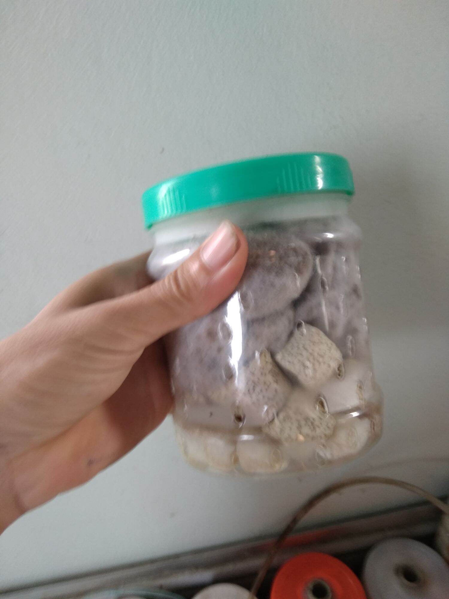 lọc bio chế cũ full vật liệu và bông