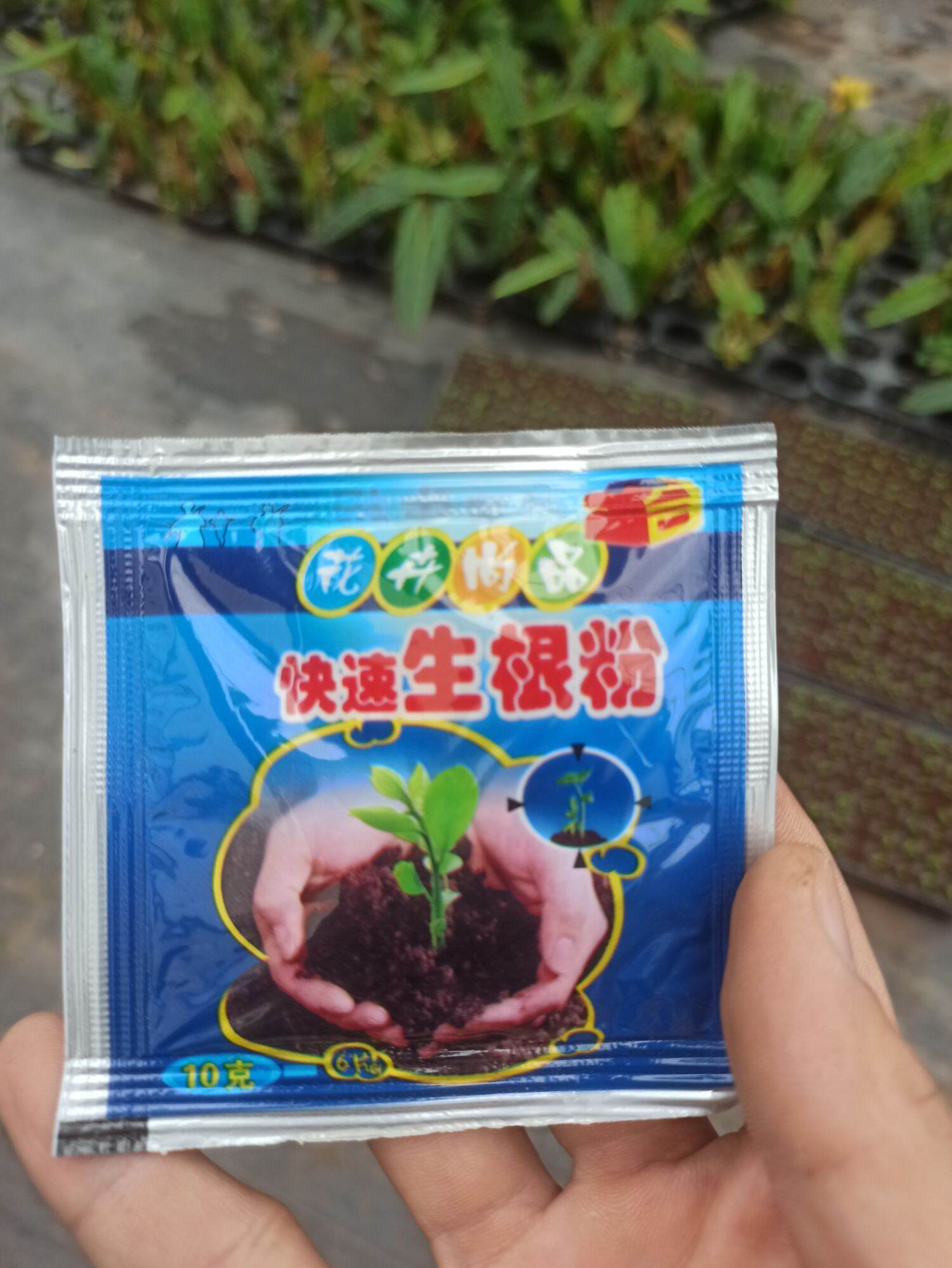 Siêu kích rễ cây trồng