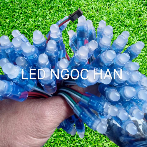 Led full color ic 1903 làm phá.o hoa, bán từ 50 bóng