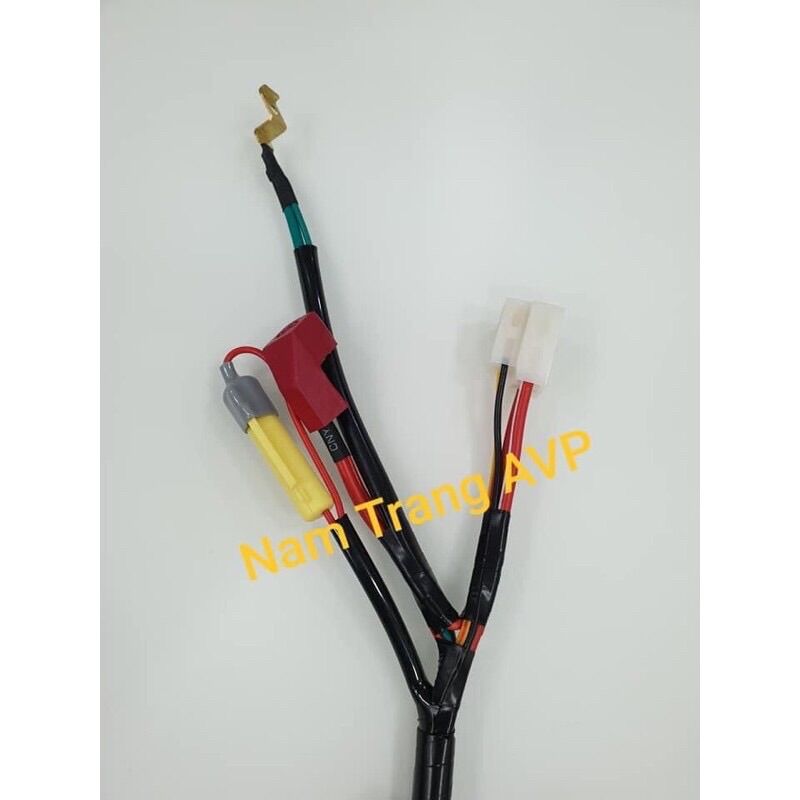 Bộ dây điện sườn cub 81/86 (ko đề) NamTrang AVP