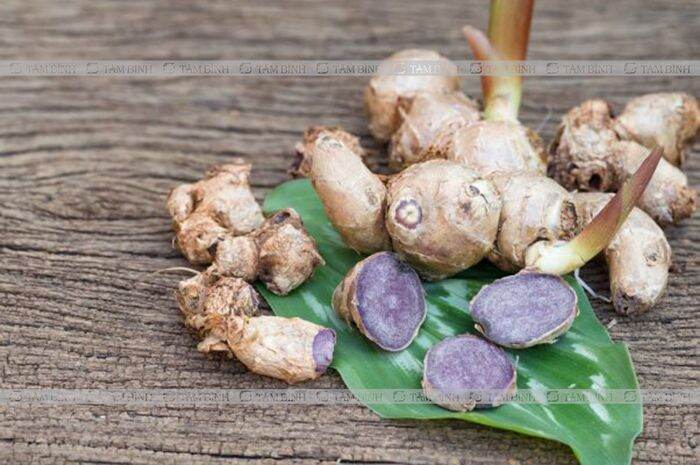 nữa kí ngải đen (gừng đen)