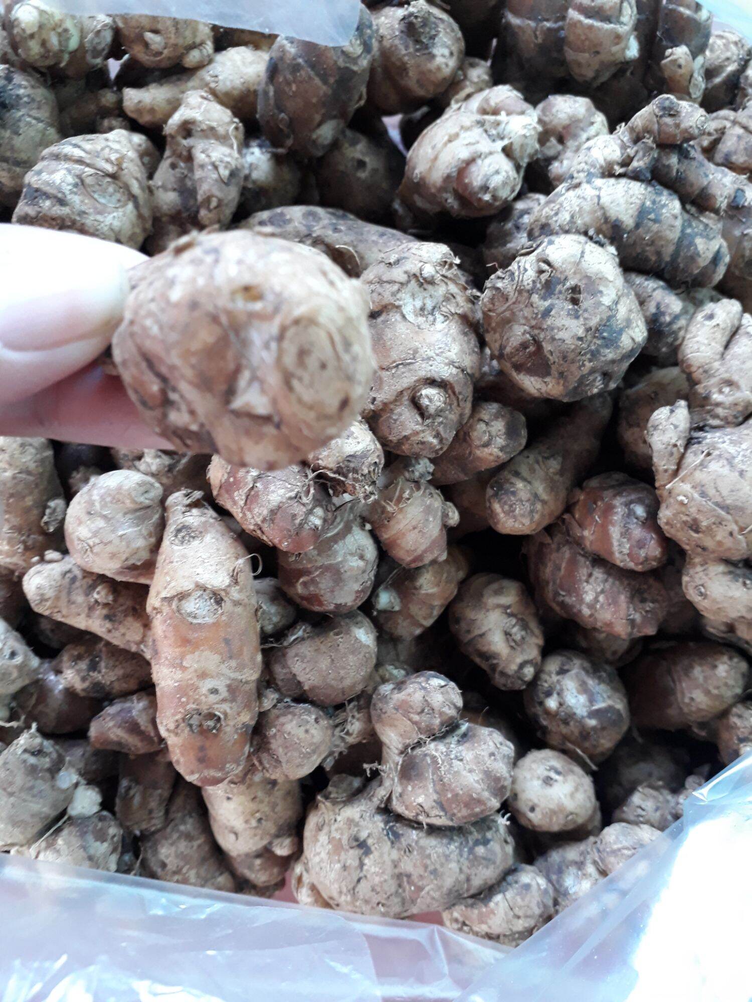địa liền tươi ( 500 g )
