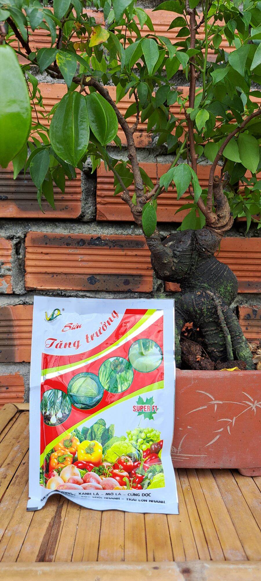 PHÂN BÓN MAGIE NITRAT 100g(siêu tăng trưởng)