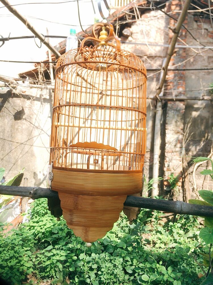 LỒNG KHUYÊN CHÂN CAO NAN KHÍT