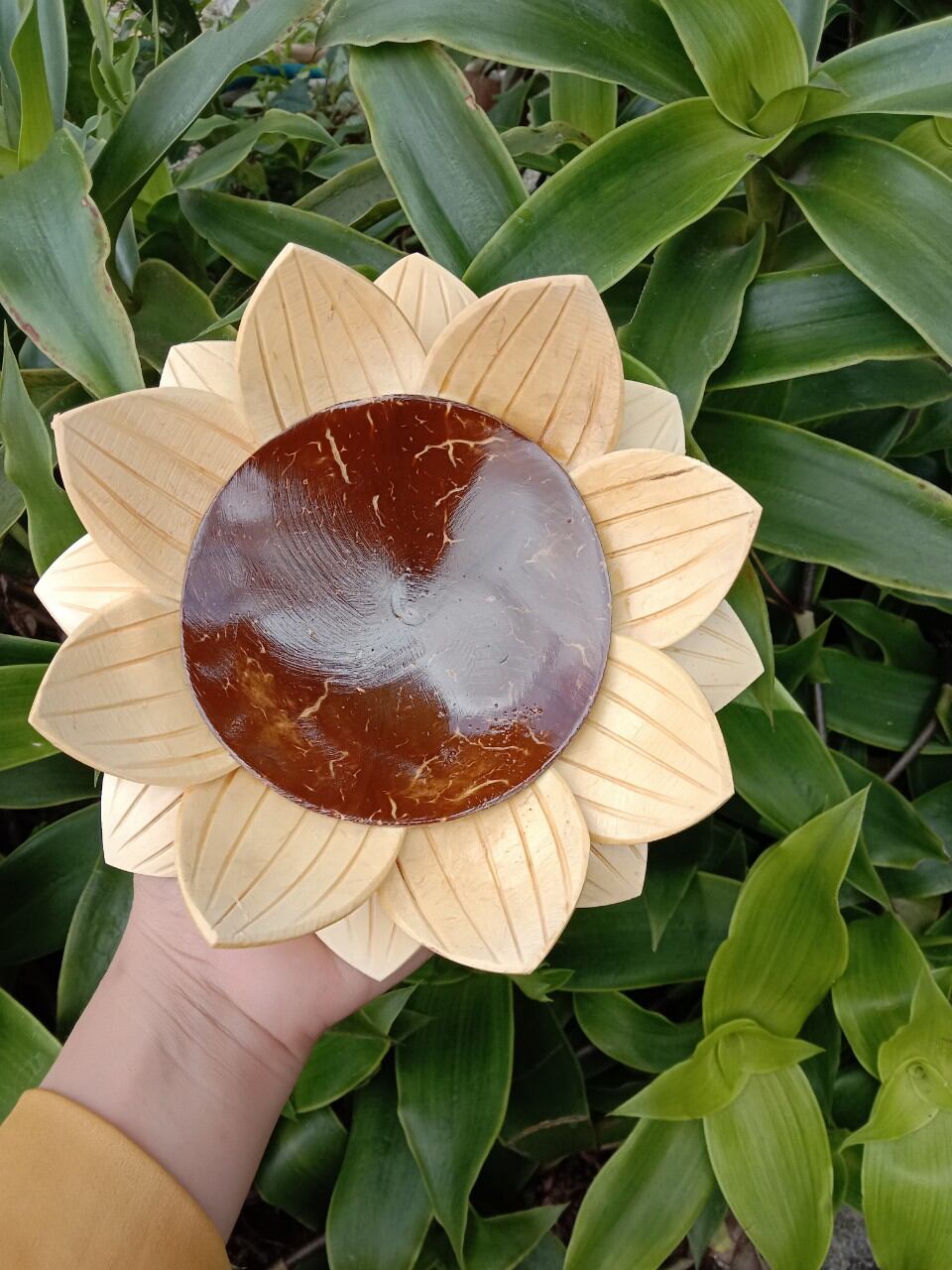 dĩa sen làm từ ráo dừa