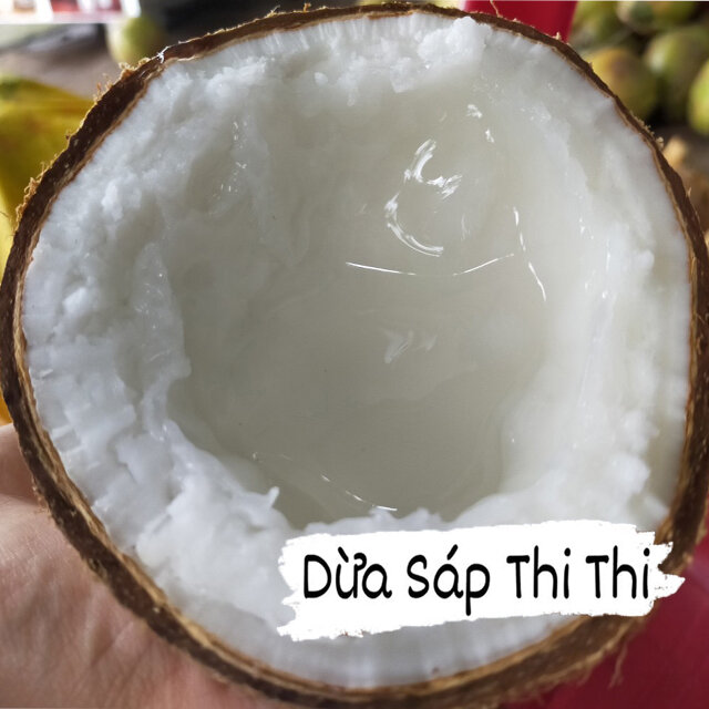 DỪA SÁP THƯỢNG HẠNG LOẠI 2 SIZE VỪA (Trái 800gr-900gr)