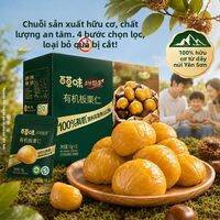 BE＆CHEERY | Hạt Dẻ Tách Vỏ Hữu Cơ 500g Không Đường Ăn Vặt Healthy