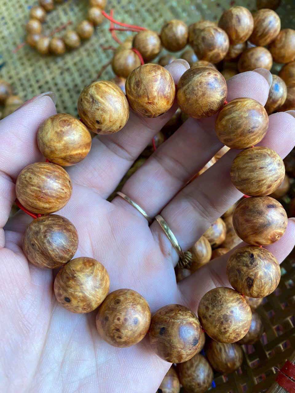 Vòng nu huyết long cao cấp.