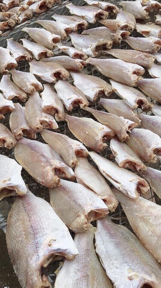 Khô cá đù 1 nắng 1kg