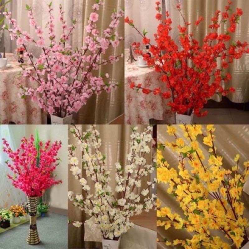Hoa/cành đào-mai trang trí lễ Tết