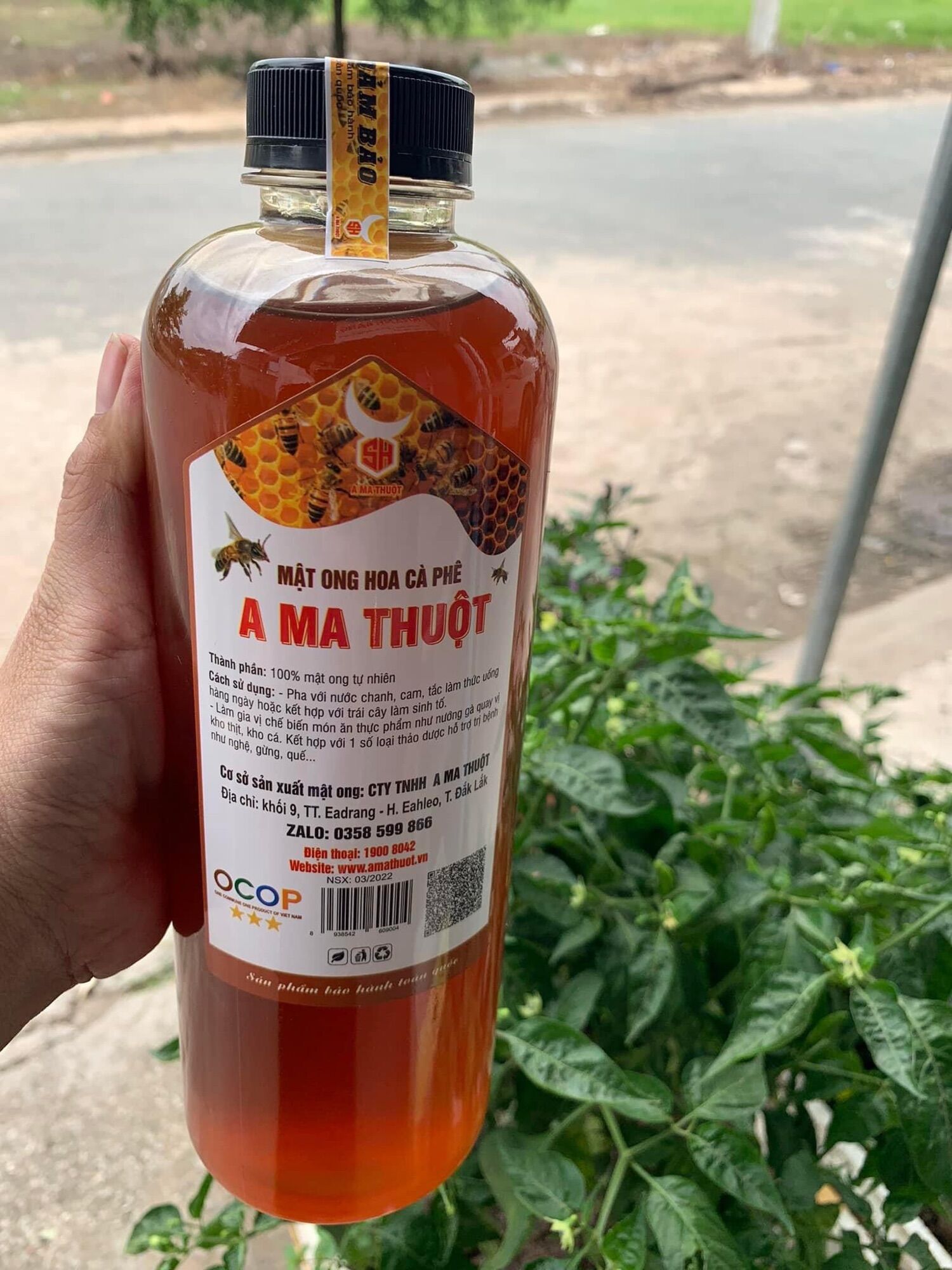 Mật ông hoa cafe Đăk Lăk 1 lít